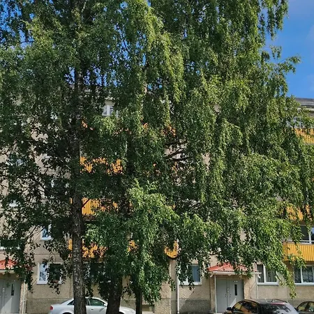 Vilde * Reval